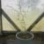Kowhai 2.5l nz nurseries