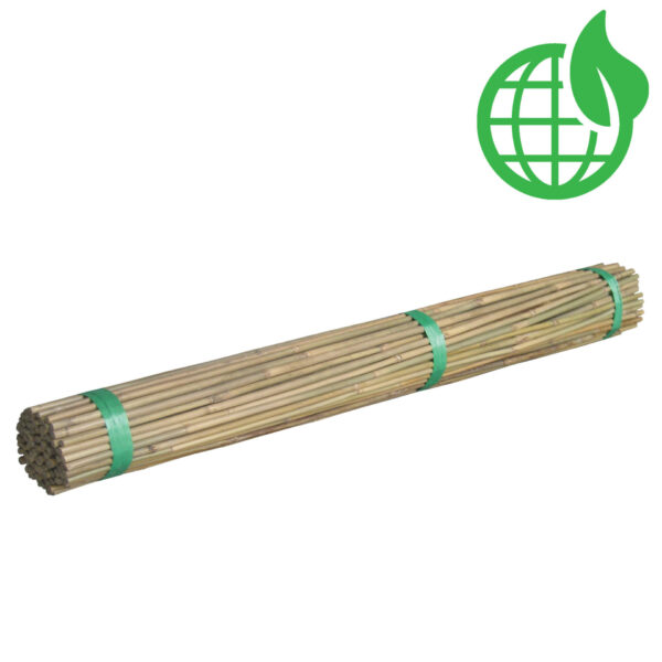Bamboo Canes from nz nurseries