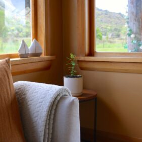 Pohutukawa christmas Present nz Nurseries in the living room